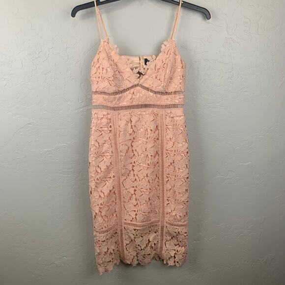 Bardot Botanica Lace Dress Womens Size 6 Pink Sleeveless Sheath Dress Wedding - Picture 3 of 11